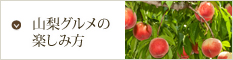 山梨グルメの楽しみ方