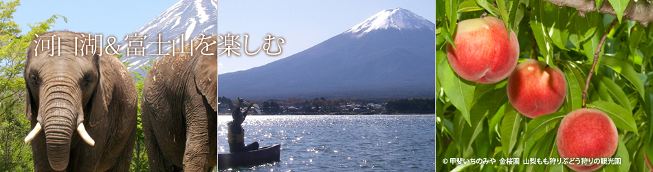 河口湖&富士山を楽しむ