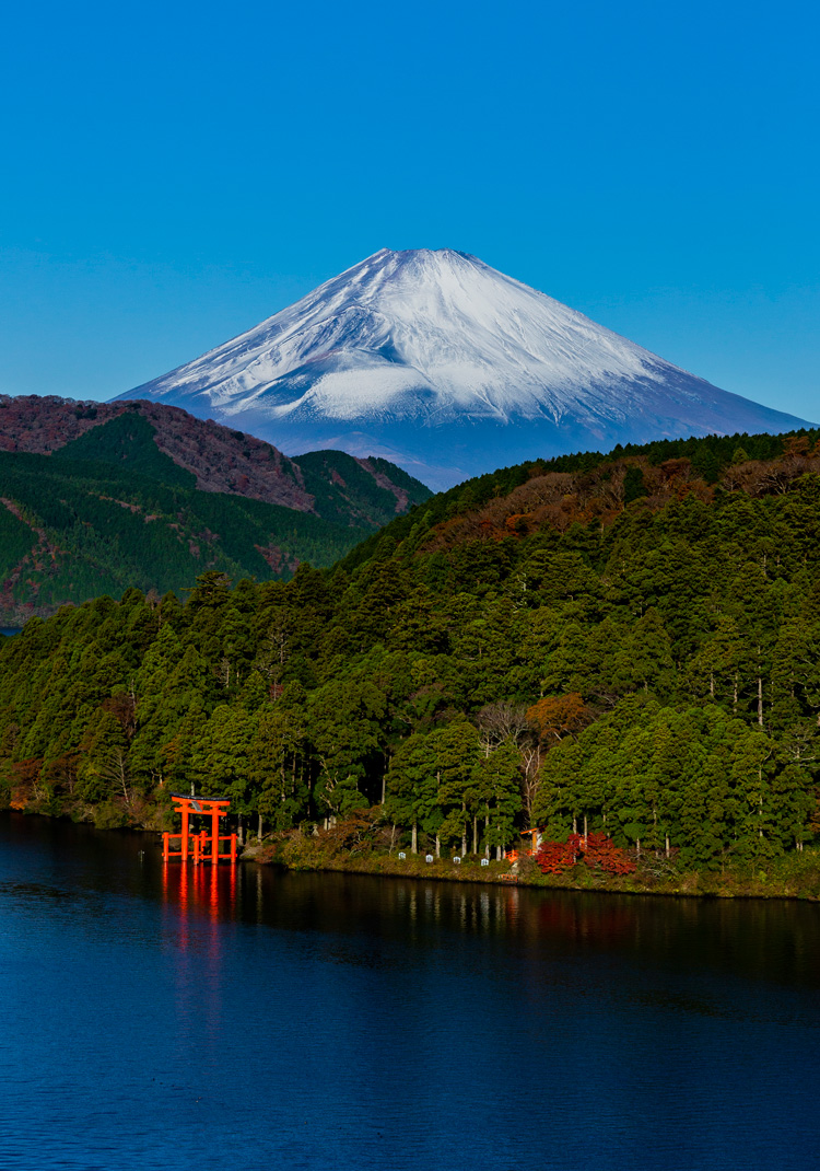 富士屋ホテルズ&リゾーツタイムセール